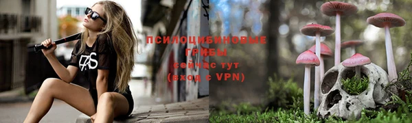 винт Каменногорск
