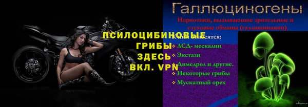 винт Каменногорск