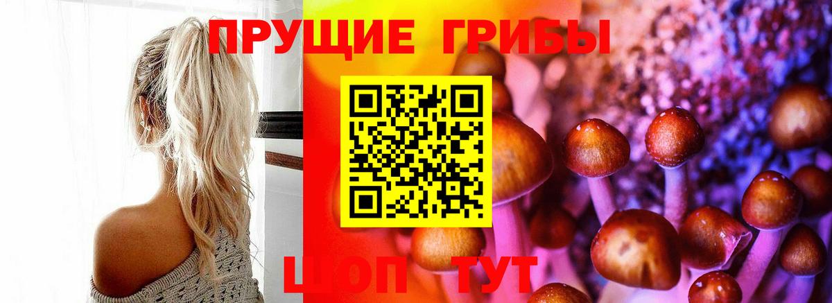 Галлюциногенные грибы Psilocybine cubensis  Вход с VPN  цены наркотик  Котлас 
